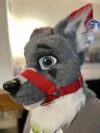 Muzzle