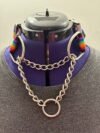 Inu Choker (with Lockable Metal fast clip)