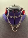 Inu Choker (with Lockable Metal fast clip)
