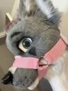 Muzzle